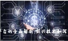 区块链游戏平台的全面解析：新兴技术如何重塑