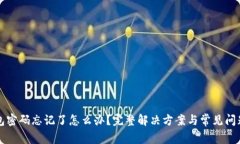 TP钱包密码忘记了怎么办？完整解决方案与常见问