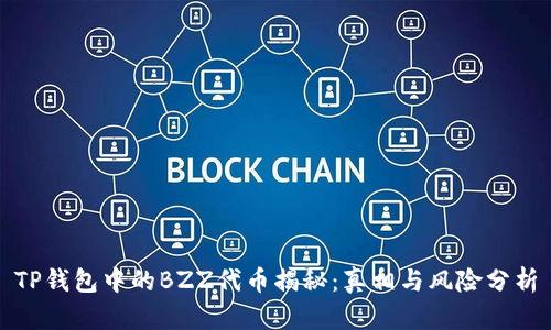 TP钱包中的BZZ代币揭秘：真相与风险分析