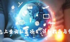 如何在TP钱包上查询私募项目：详细指南与常见问