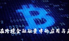 区块链在跨境金融融资中的应用与未来展望